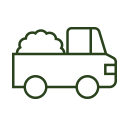 Tree caballing and bracing services