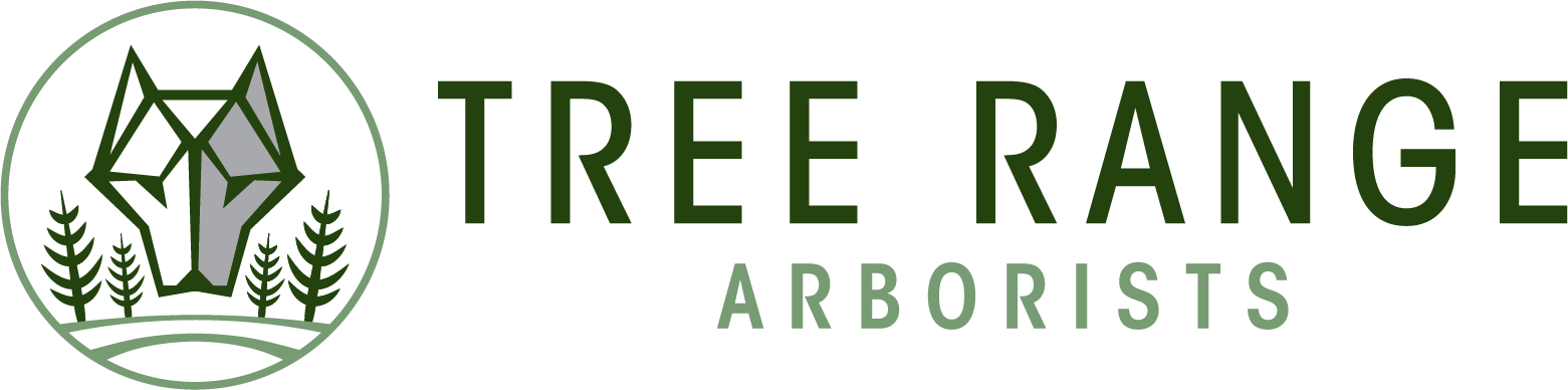 Tree Range Arborists - Tree Removal Melbourne