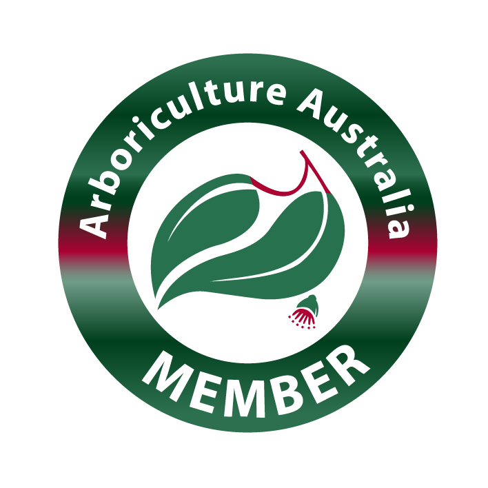 Member of Arboriculture Australia