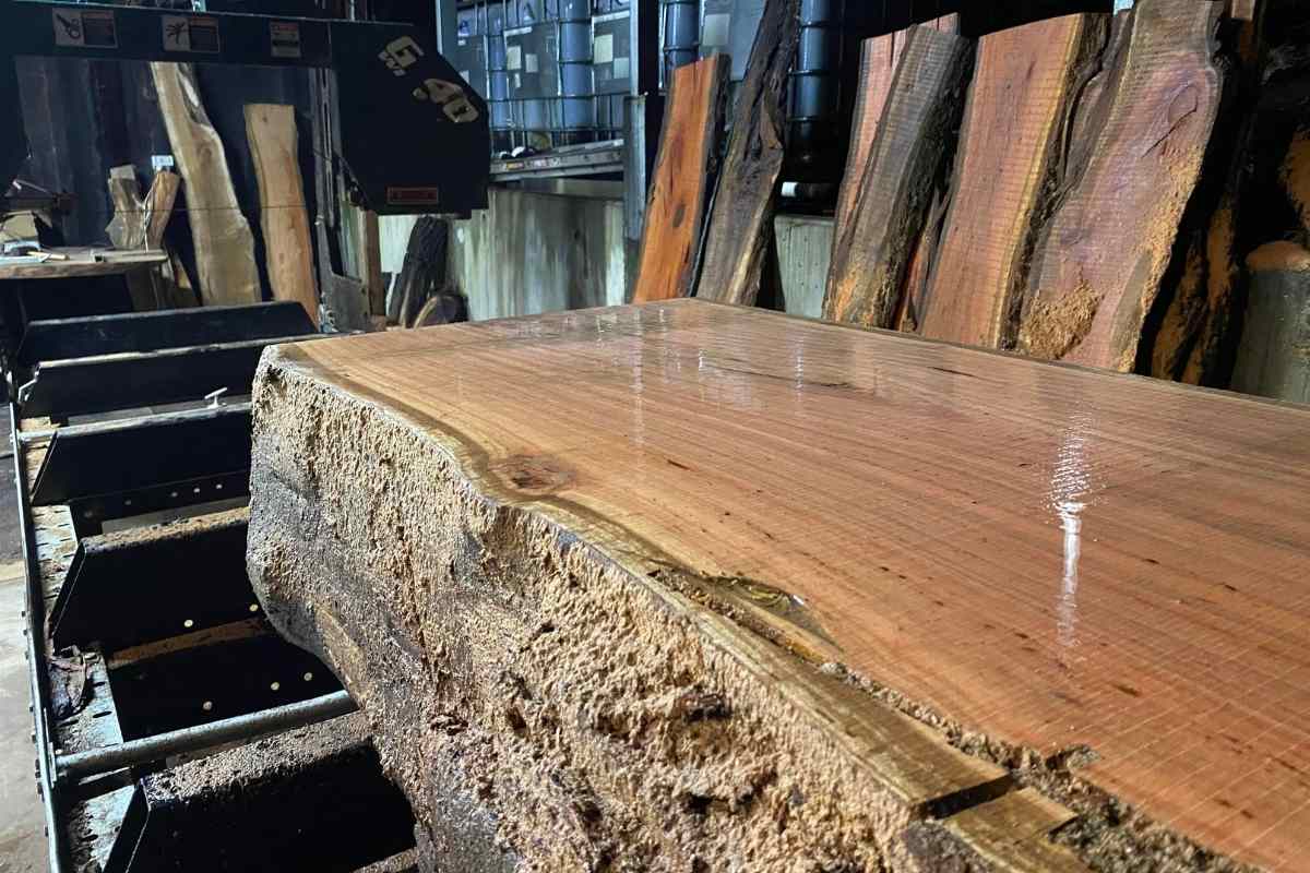Recycled Timber Slab From Fallen Tree
