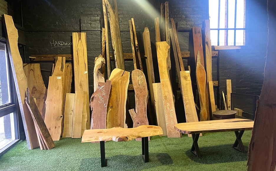 natural-timber-display-tree-range-arborists natural timber for sale in tree range arborists office