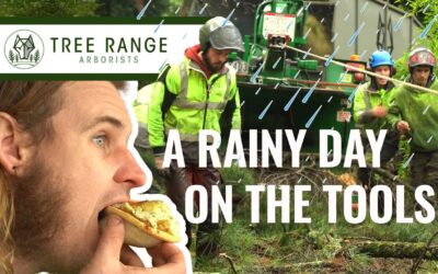 Meet the Team: Episode 5 | Rainy Day on the Tools