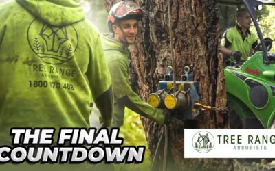 Meet the Team: Episode 6 – The Final Countdown<