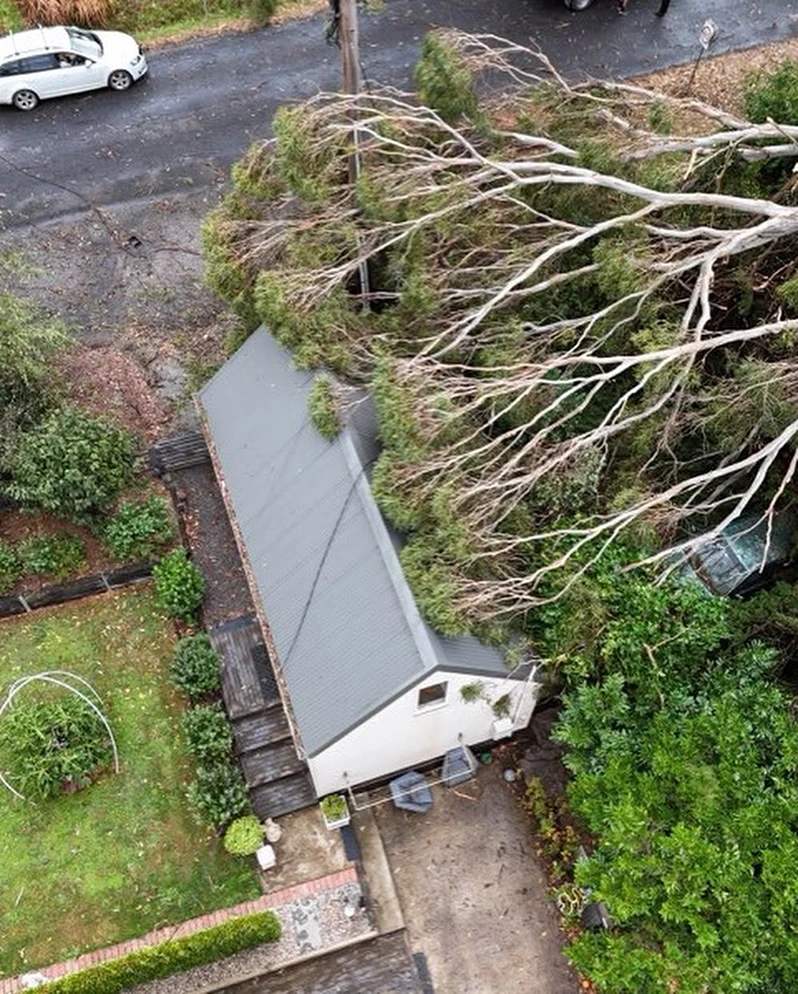 Aerial view of a giant storm-felled tree lying across a house roof beside a road and power pole in Mount Dandenong